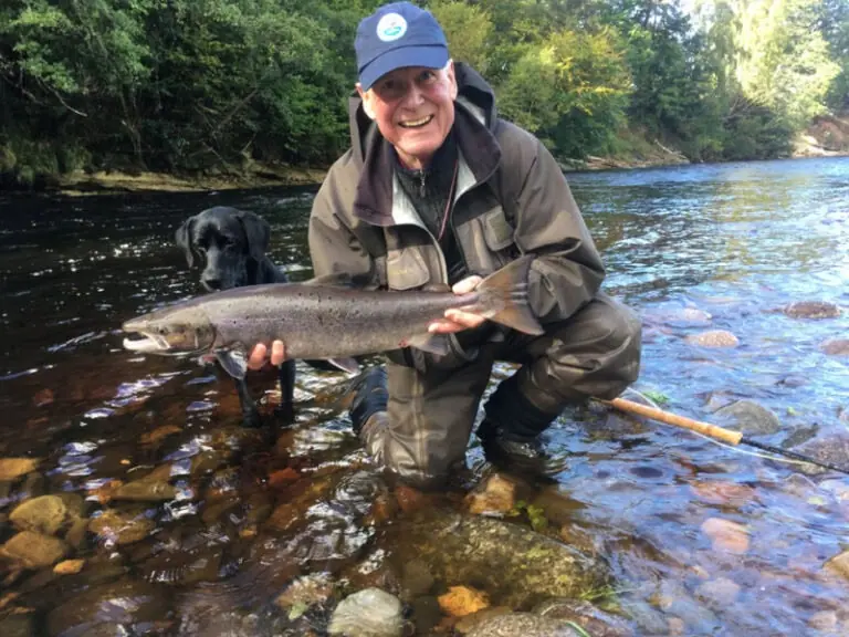 An angler kneels in shallow river water holding a salmon, black Labrador watching beside him