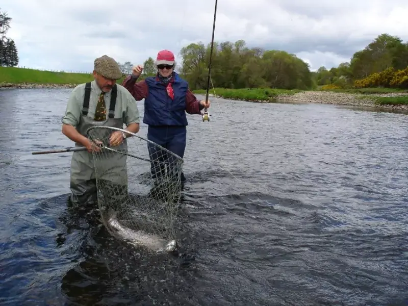 A guide nets a salmon for a guest angler wading in a river on an overcast day