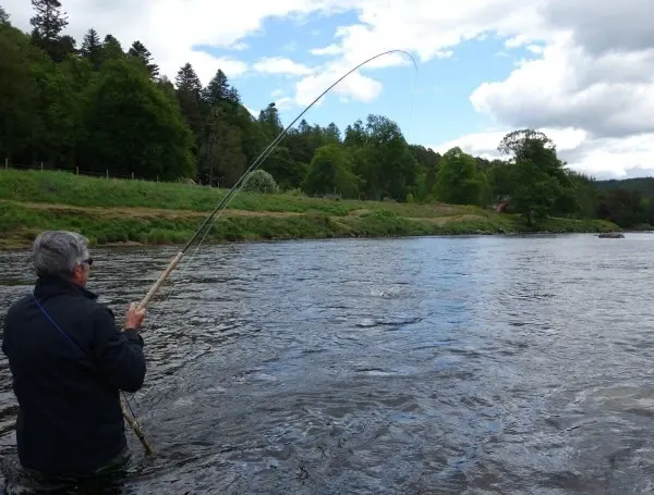 An angler bends his rod playing a salmon on the River Dee on a bright summer day