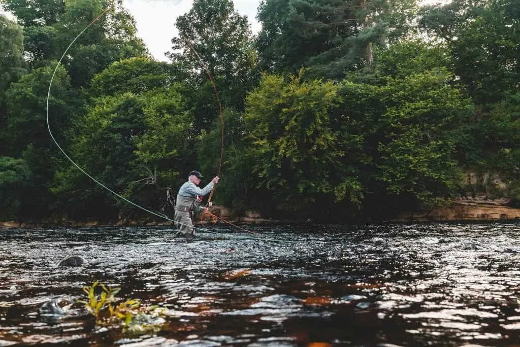 An angler wading thigh deep performs a Spey cast, line looping high above a tree lined river