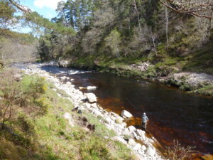 Lang Tail pool on Leverattich, Glenferness Estate