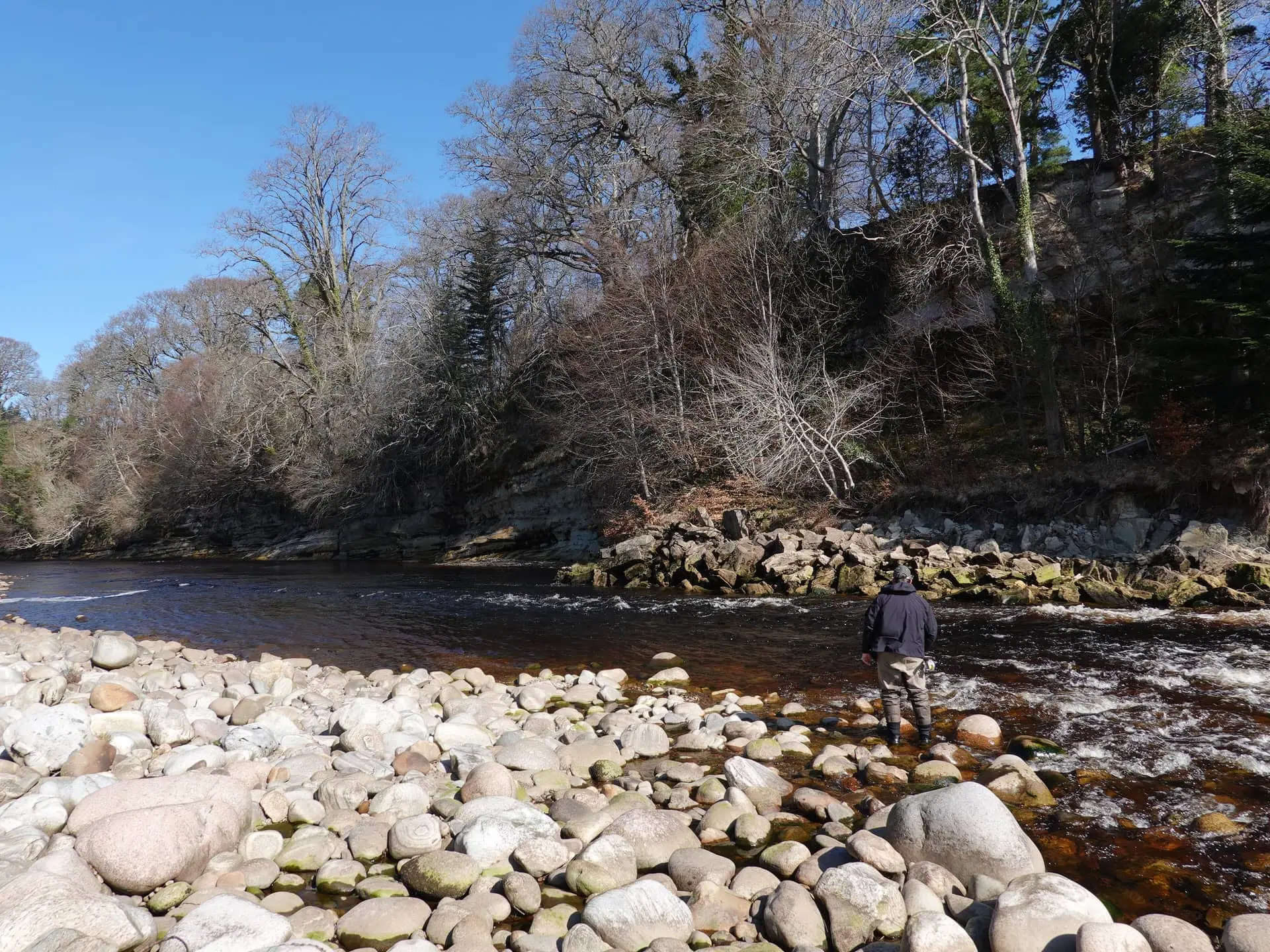An angler wading the Meads of St John beat on the River Findhorn beneath wooded rocky banks