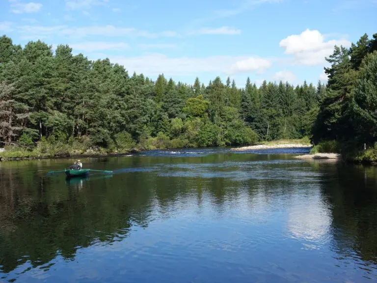Discover the Best Salmon Fishing Rivers in Scotland