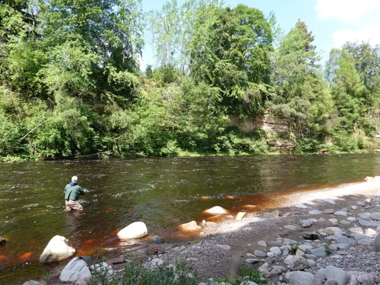 Seasonal Shifts and Salmon Runs on River Findhorn
