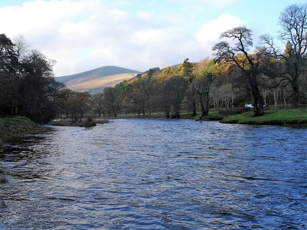 An angler wades the Birkie Pool on Scrogbank beat, River Tweed, hills and autumn trees beyond