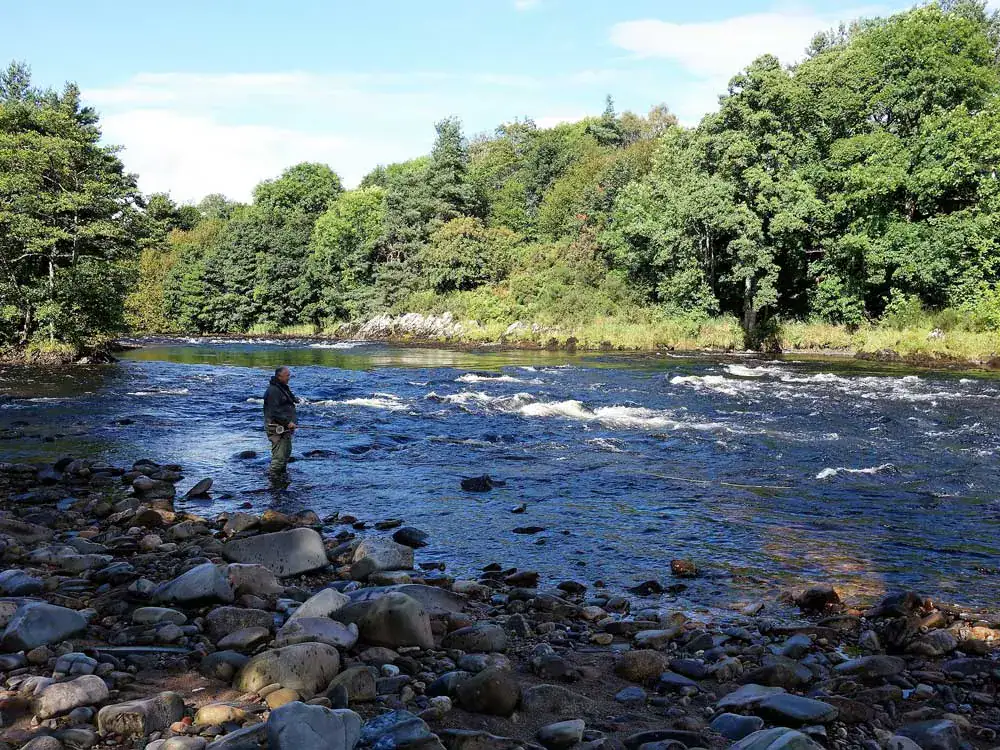 An angler wades the River Spey at Knockando, casting below wooded banks in summer sunshine