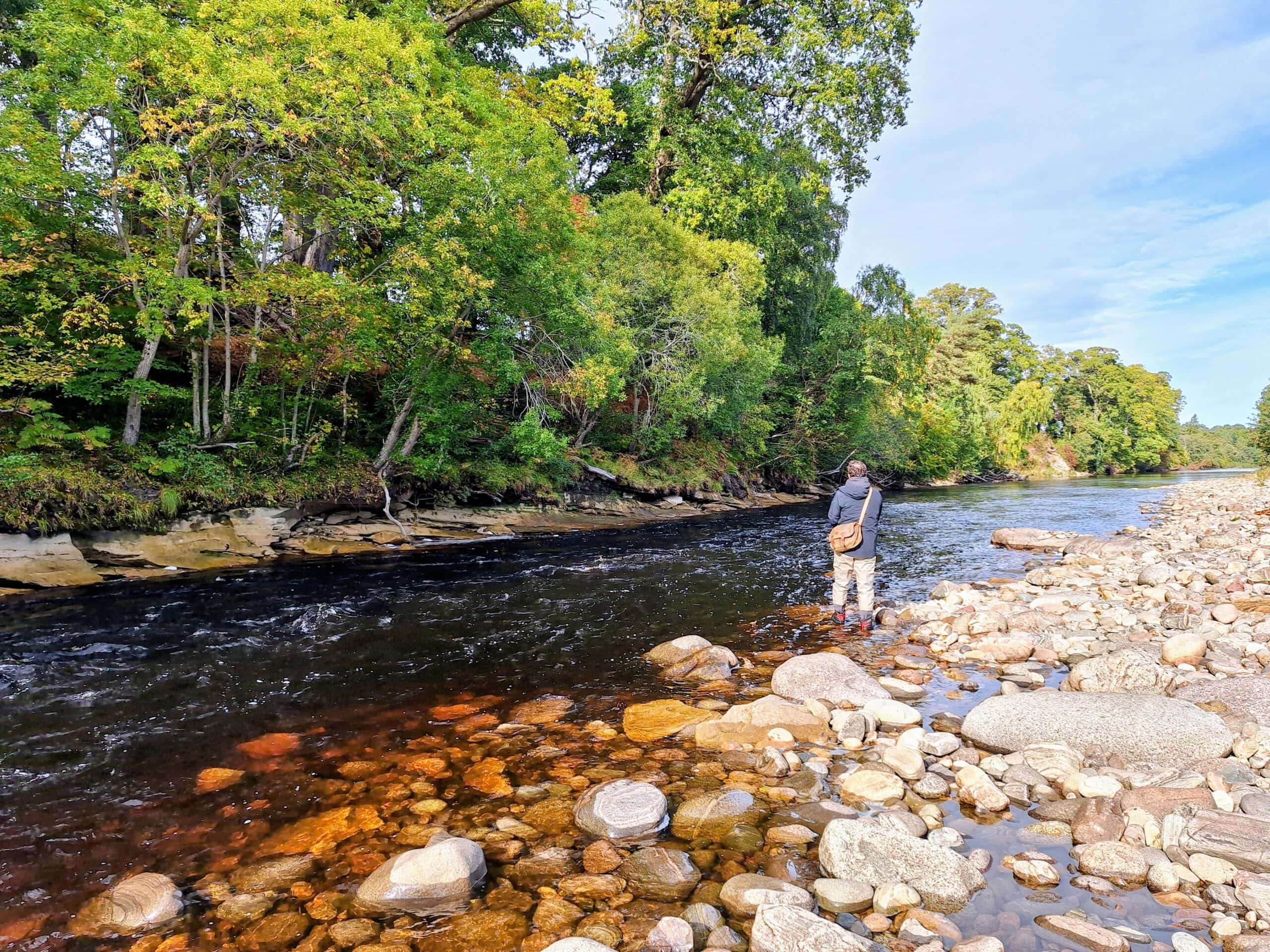 Fishing a fly through the Roan pool on Altyre Estate, River Findhorn