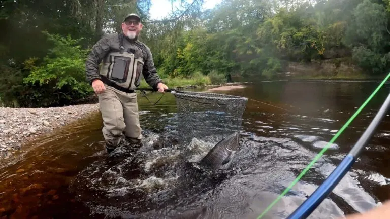 Safely in the net, a big double figure Summer salmon from Roehillock pool at Altyre Estate