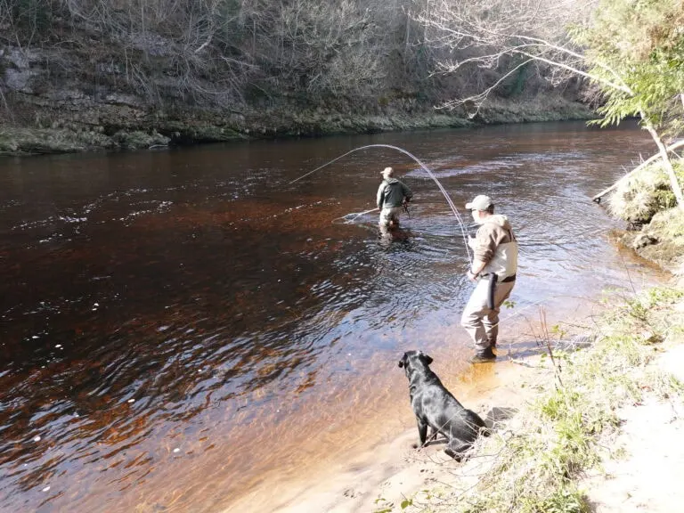 Rare Spring Opportunity: Immediate Availability on the River Findhorn