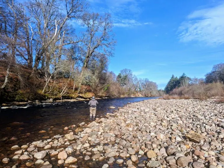 Angler fly fishing on the River Findhorn at Altyre Estate, Speyside, March 2026